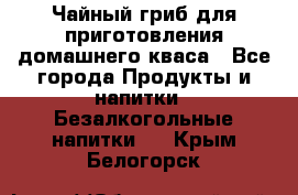 Чайный гриб для приготовления домашнего кваса - Все города Продукты и напитки » Безалкогольные напитки   . Крым,Белогорск